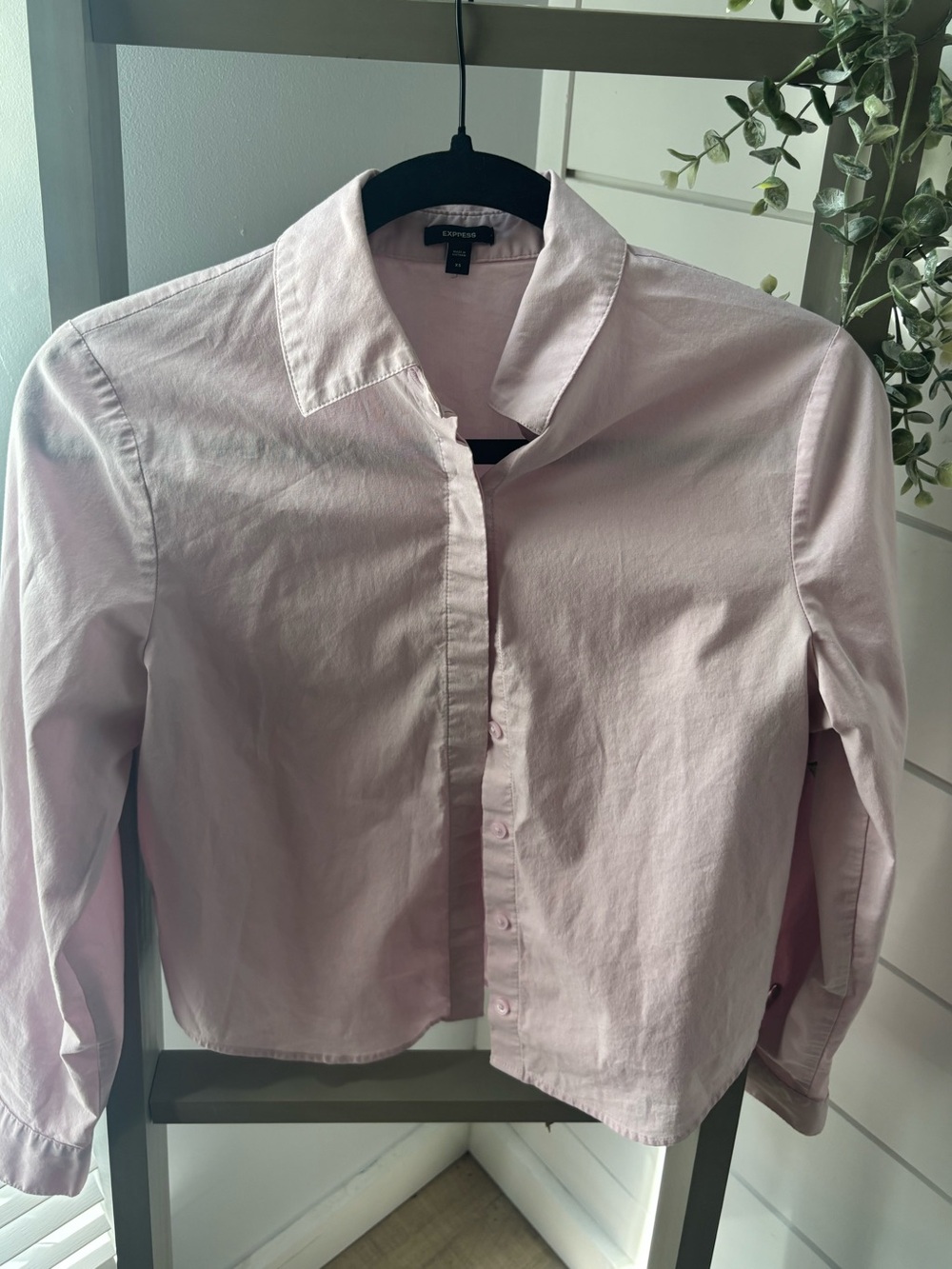 Express Pale Pink Collared Button-Down